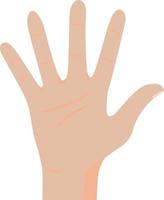 Hand in different position, sign. vector