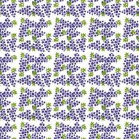 patrón de vector de uva sin costuras. vector de fideos con iconos de uvas azules. patrón de uvas vintage