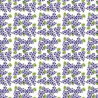 Seamless grape vector pattern. Doodle vector with blue grapes icons. Vintage grapes pattern