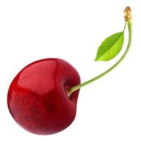 One red cherry with leaf isolated on white background with clipping path photo