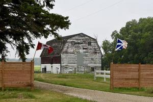 a weathered white barn in a farm yard photo