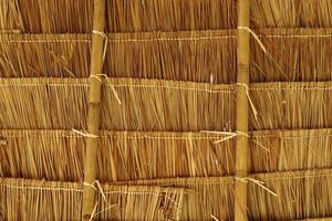 brown hay pattern, hay as background photo