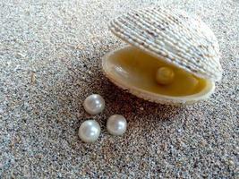 Sea shell with a pearl in the sand photo