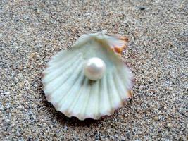 Sea shell with a pearl in the sand photo