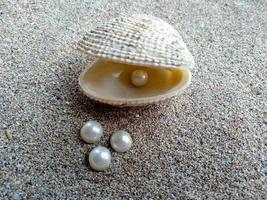 Sea shell with a pearl in the sand photo