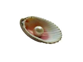 Seashell with pearl isolated on white background photo