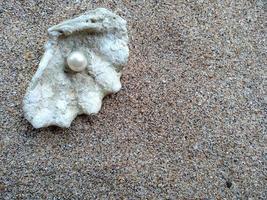 Shell with a pearl on a beach sand photo