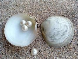 Sea shell with a pearl in the sand photo