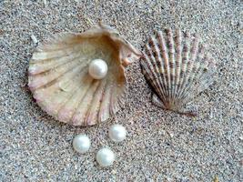 Sea shell with a pearl in the sand photo