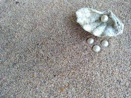 Shell with a pearl on a beach sand photo