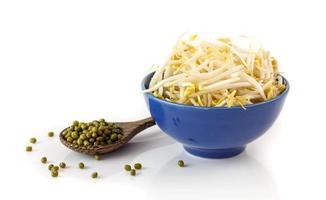 Fresh bean sprouts on white photo