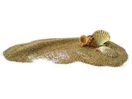 Shells and pearls in the sand on white background photo