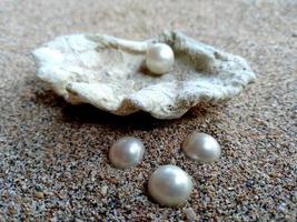 Sea shell with a pearl in the sand photo