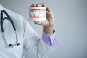 doctor hand holding plastic dental teeth model on table photo