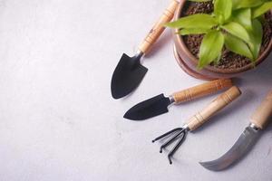 gardening tools and plant on a table with copy space photo