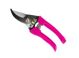 pink pruning shears isolated on white background photo