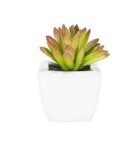 Small artificial tree in a pot isolated in white background. photo