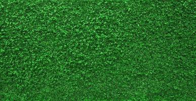 Green nature wall  textured background photo