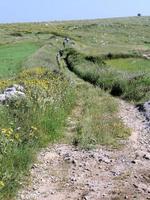 footpath in the mountains photo