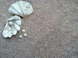 Shell with a pearl on a beach sand photo