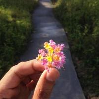 Hand holding flower photo