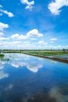 retrato de cielo despejado reflexionando sobre el agua en el campo de arroz foto