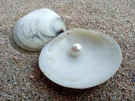 Shell with a pearl on a beach sand photo