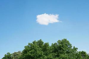 cielo azul con una sola nube foto