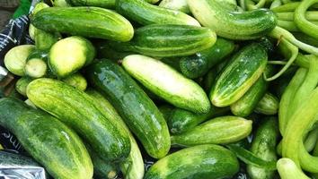 organic cucumber that is sell on traditional market photo
