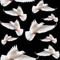 dove seamless pattern perfect for background or wallpaper