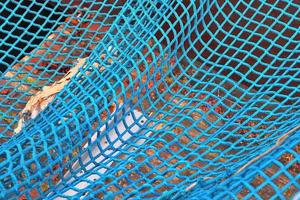 Close up on a blue fishing net at the harbour of Kiel in Germany photo