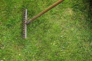 equipo de jardinería sobre césped con espacio vacío foto