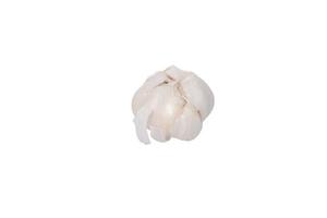 Garlic isolated on white background. Garlic with leaf photo