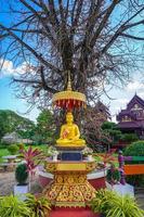 Great Gold Buddha statue sits front of Sal tree. photo