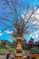 Great Gold Buddha statue sits front of Sal tree. photo