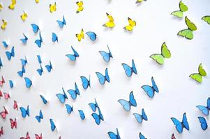 green blue yellow Butterfly graphic art pop up 3d on the white clean wall photo