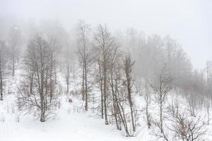 Covered with snow Caucasus mountain photo