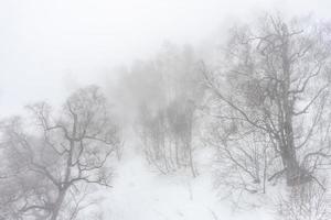 Covered with snow Caucasus mountain photo