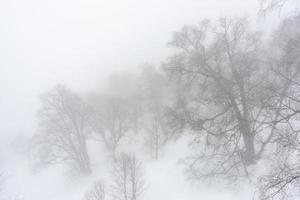 Covered with snow Caucasus mountain photo