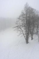 cubierto de nieve montaña del Cáucaso foto