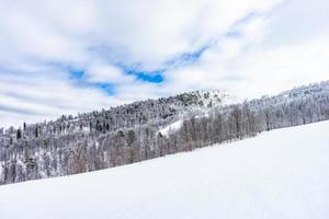 Covered with snow Caucasus mountain photo