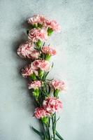 Spring bouquet with pink cloves photo