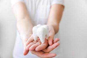 Health dental care concept. Woman hand holding white healthy tooth model isolated on white background. Teeth whitening, dental oral hygiene, teeth restoration, dentist day. photo