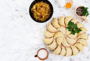 Delicious dumplings with cabbage on white background. Top view photo