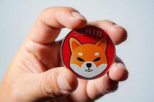 Hand or fingers picking Shiba coin group included with Crypto currency coin Dogecoin DOGE, bitcoin BTC, Ethereum ETH symbol Virtual blockchain technology future is digital money close up and Macro. photo