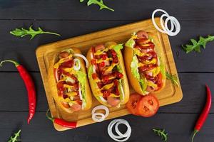 Delicious homemade hot dog on dark background photo