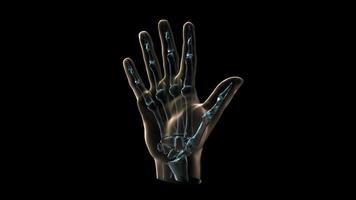 3D medical animation of a human hand and bones.
