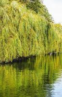 HDR River Cam in Cambridge photo