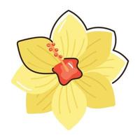 A captivating flat icon of easter daffodil vector