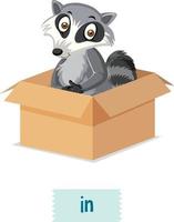 English prepositions with raccoon sit in the boxes vector